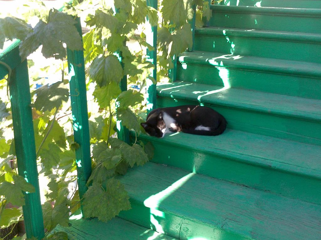 Green Stairs Guest House Tbilisi Exterior foto