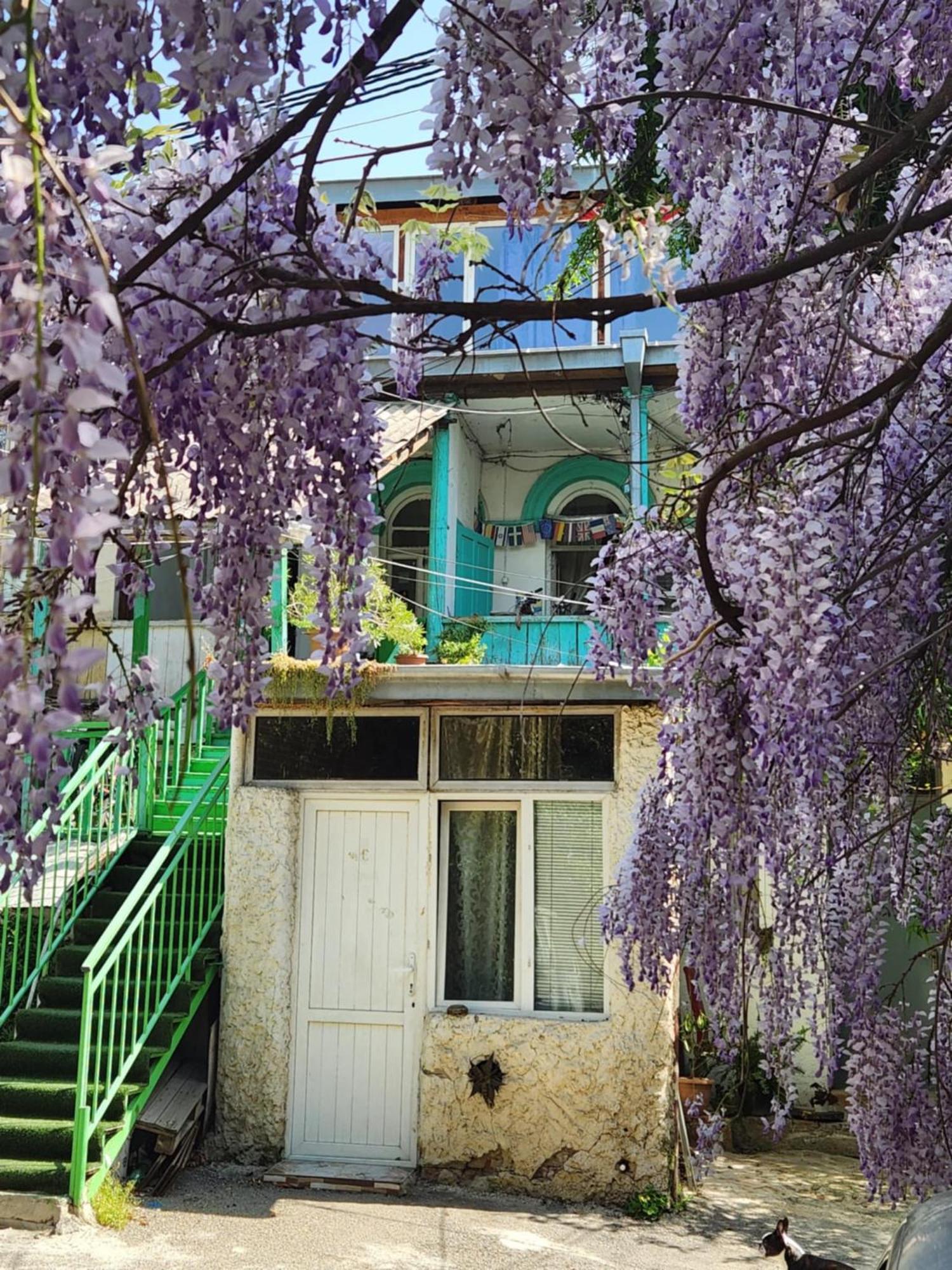 Green Stairs Guest House Tbilisi Exterior foto