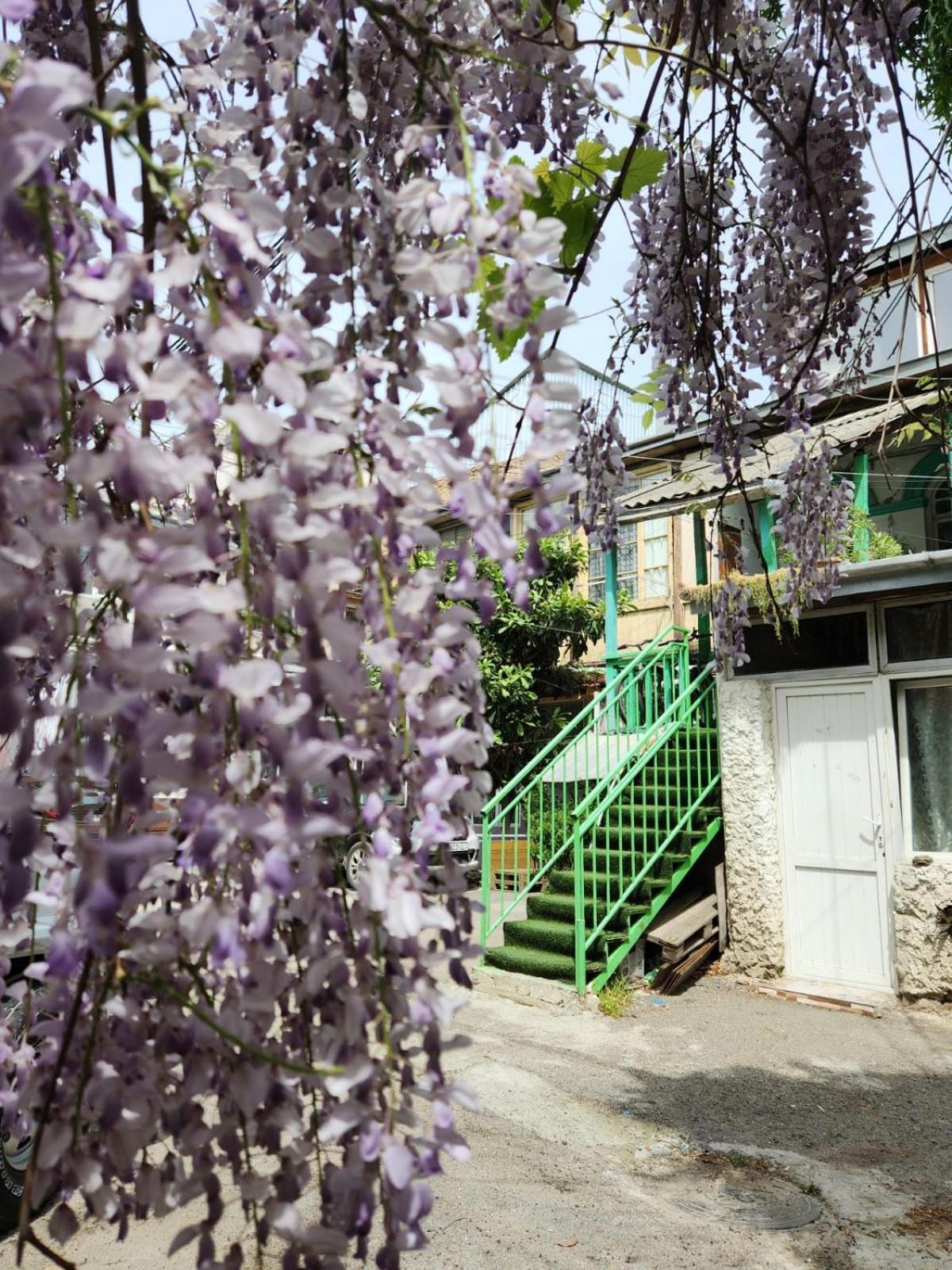 Green Stairs Guest House Tbilisi Exterior foto